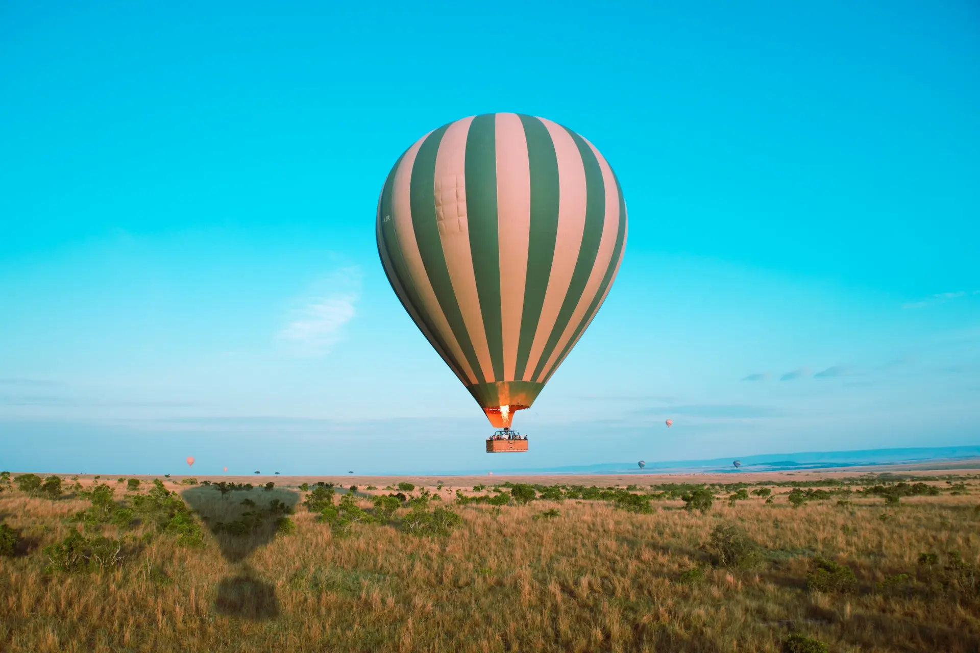 a hot air balloon in the air