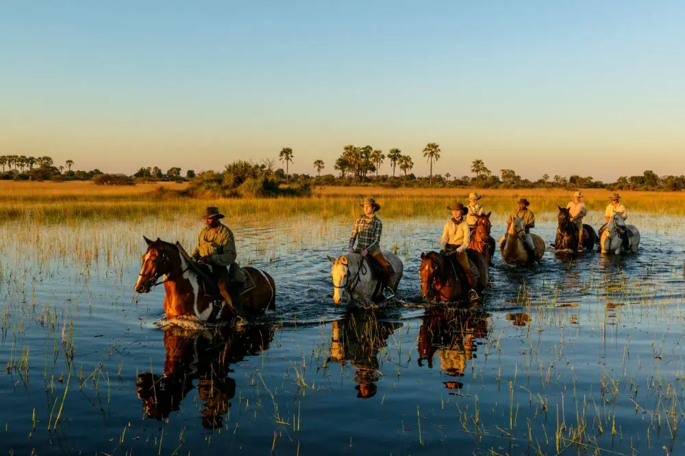 Botswana luxury safari in Okavango Delta