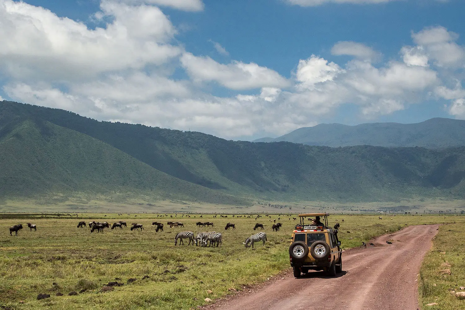 Luxury safari Tanzania South Central Serengeti”