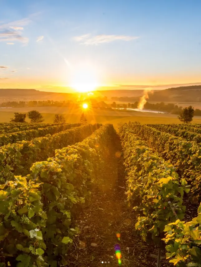 Champagne region France, best Champagne itinerary, new Champagne 2026, why visit Champagne