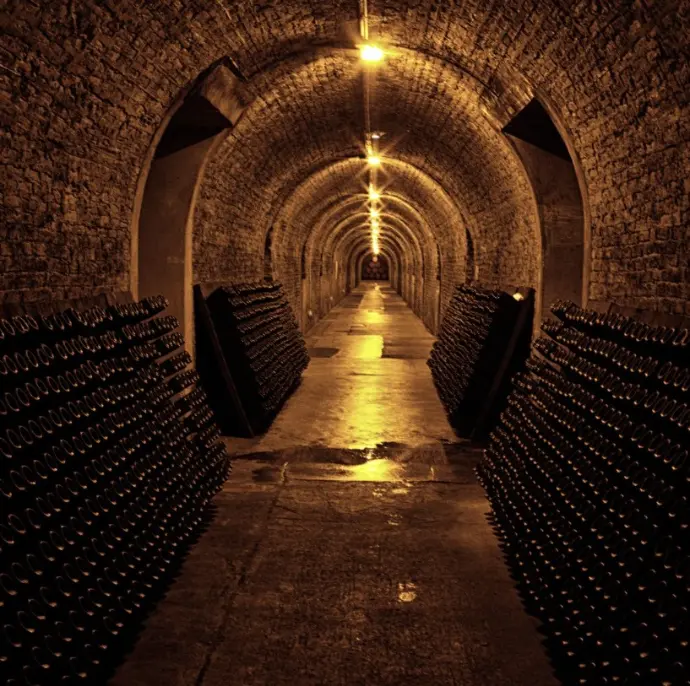 Visit of the caves in Champgne