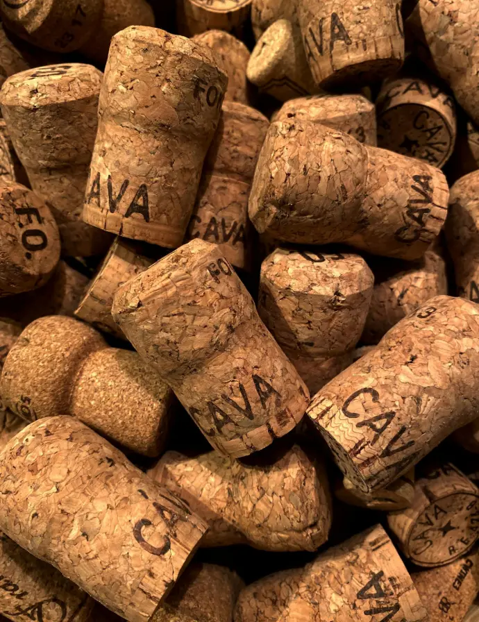 Champagne corks